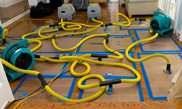 Professional Basement Flood Cleanup technician working in Denmark, TN